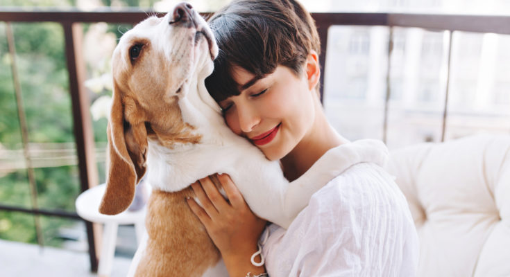 Cachorro Beagle é abraçado por uma mulher com cabelos castanhos curtos e blusa branca.