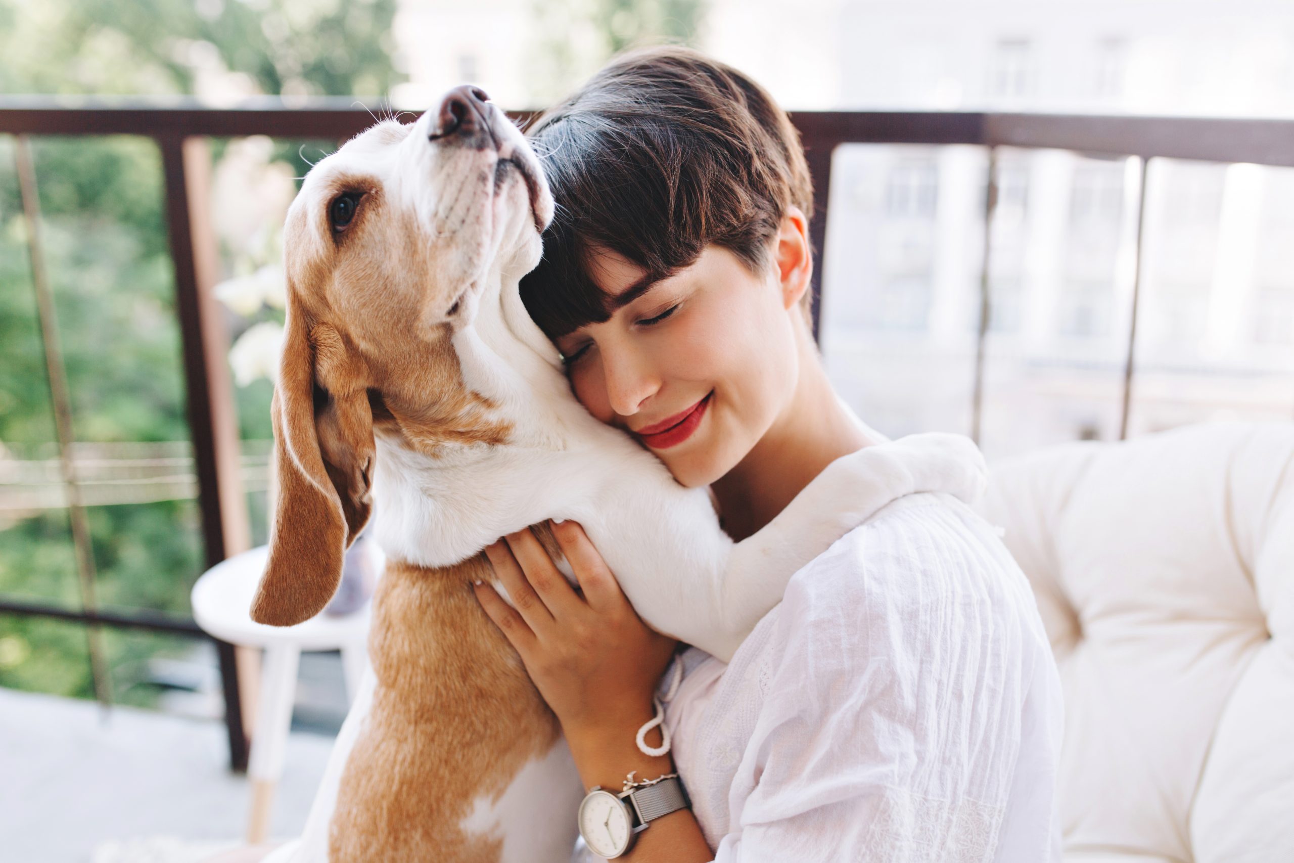 Cachorro Beagle é abraçado por uma mulher com cabelos castanhos curtos e blusa branca.