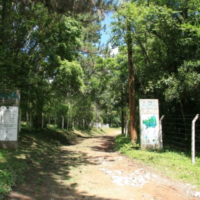 caminhos co capivary